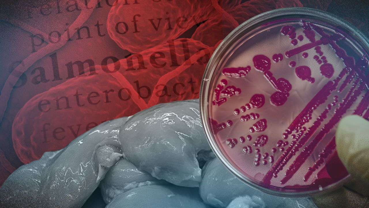Drug-resistant Salmonella found in Metro Manila chicken meat — study