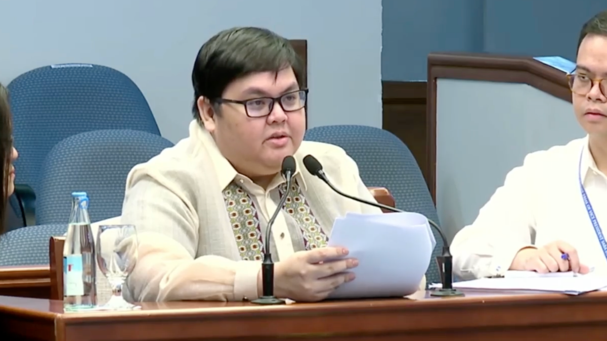 WATCH: AMLC records not conclusive, only show reported Duterte, Carpio transactions