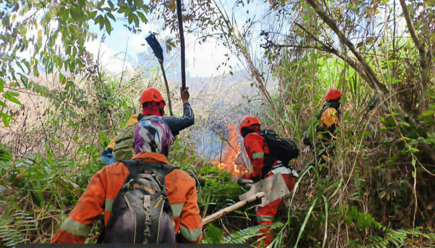 Bukidnon forest firefighters battle blazes amid dry spell
