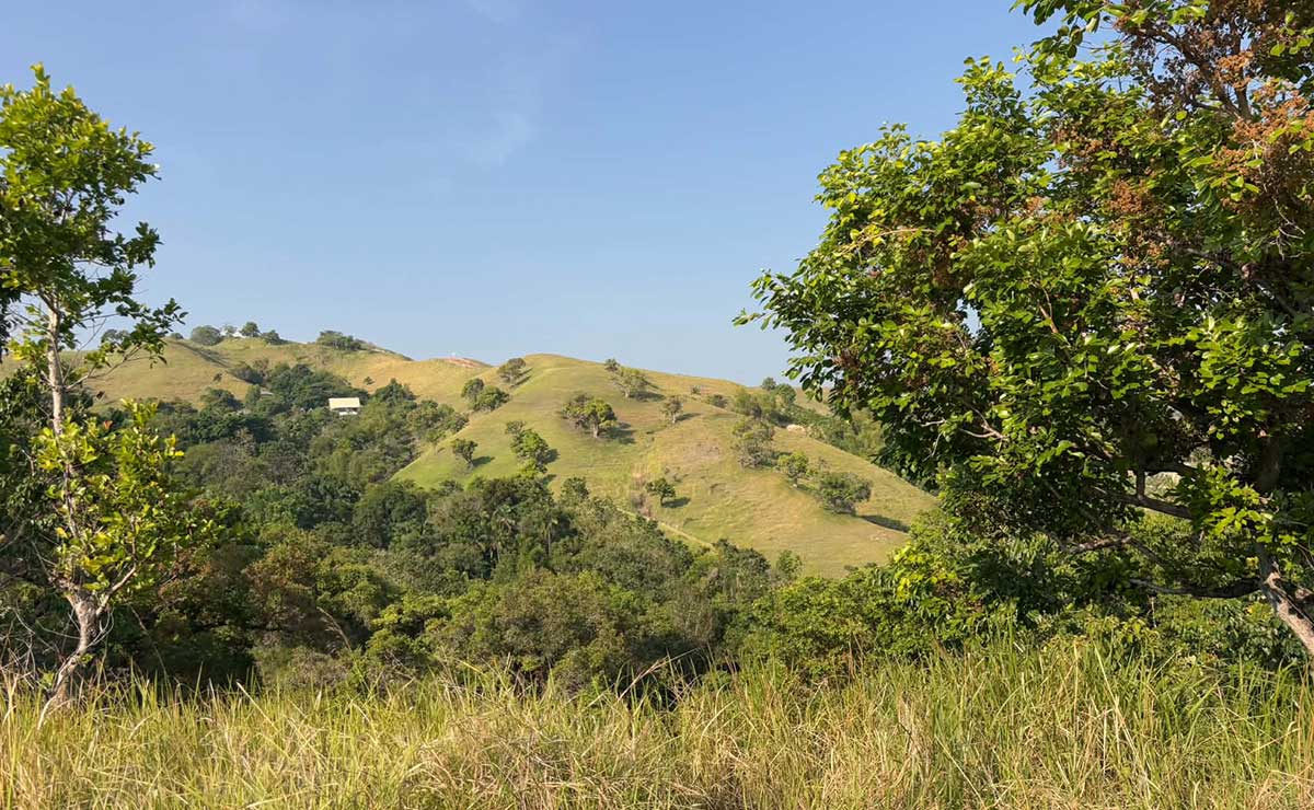 Bohol governor orders speedy probe into robbery of 2 Chinese tourists