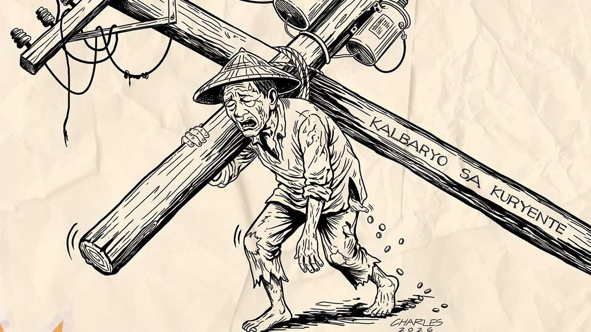 DOE: Scrapping ‘system loss’ charge may take a year