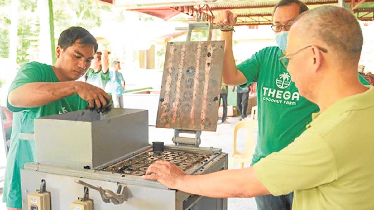Bamboo, agro-forest waste eyed as biomass fuel