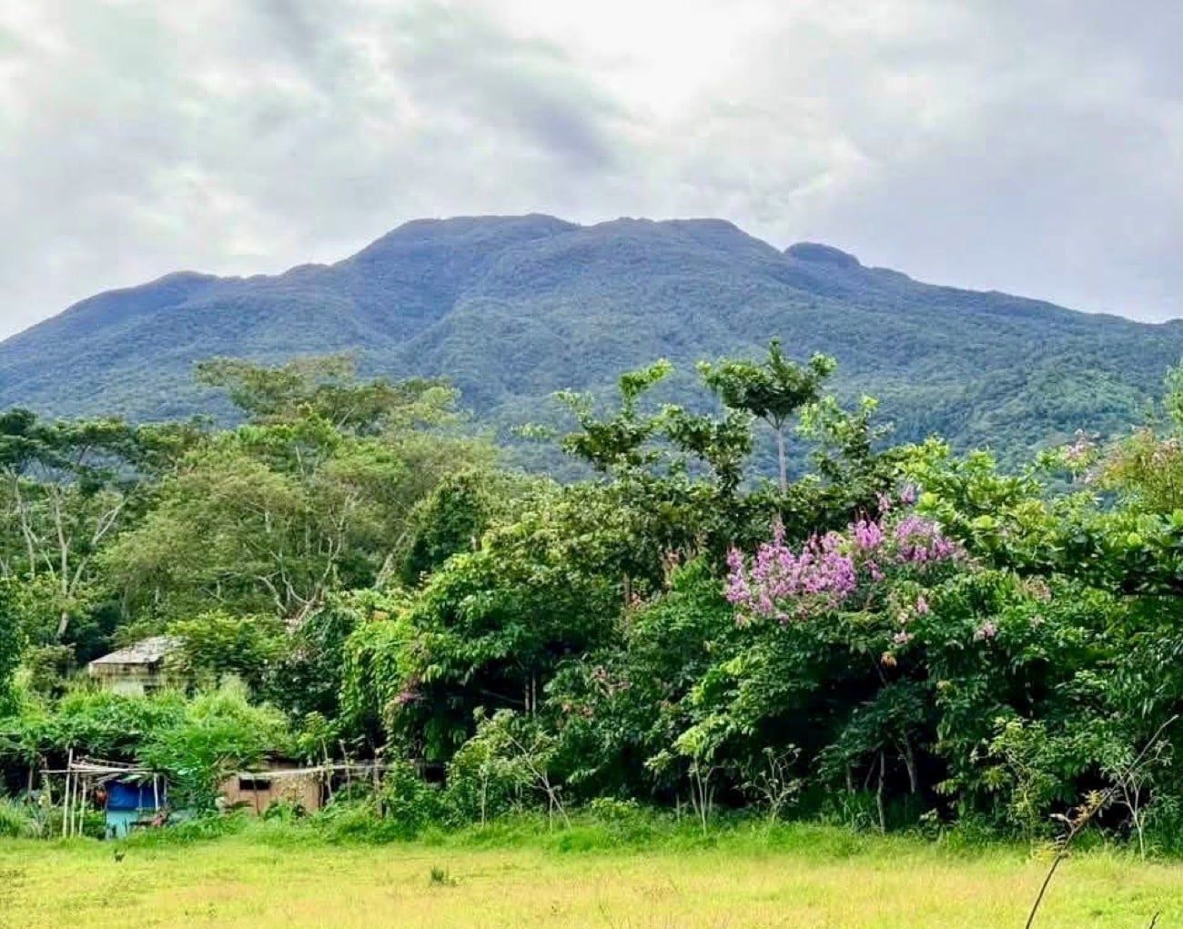 P350-M Mt. Isarog project to balance tourism, conservation in Naga