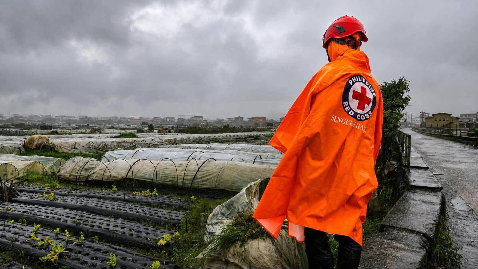 La Union farm damage tops P11M amid heavy rains