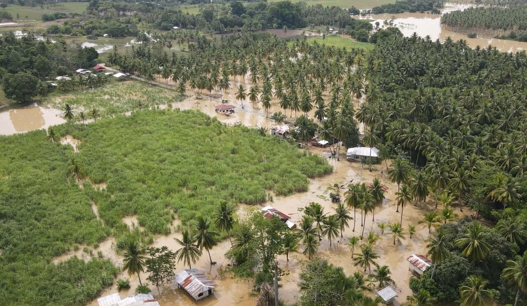 Inday, ‘habagat’ leave P885M in farm losses across BARMM