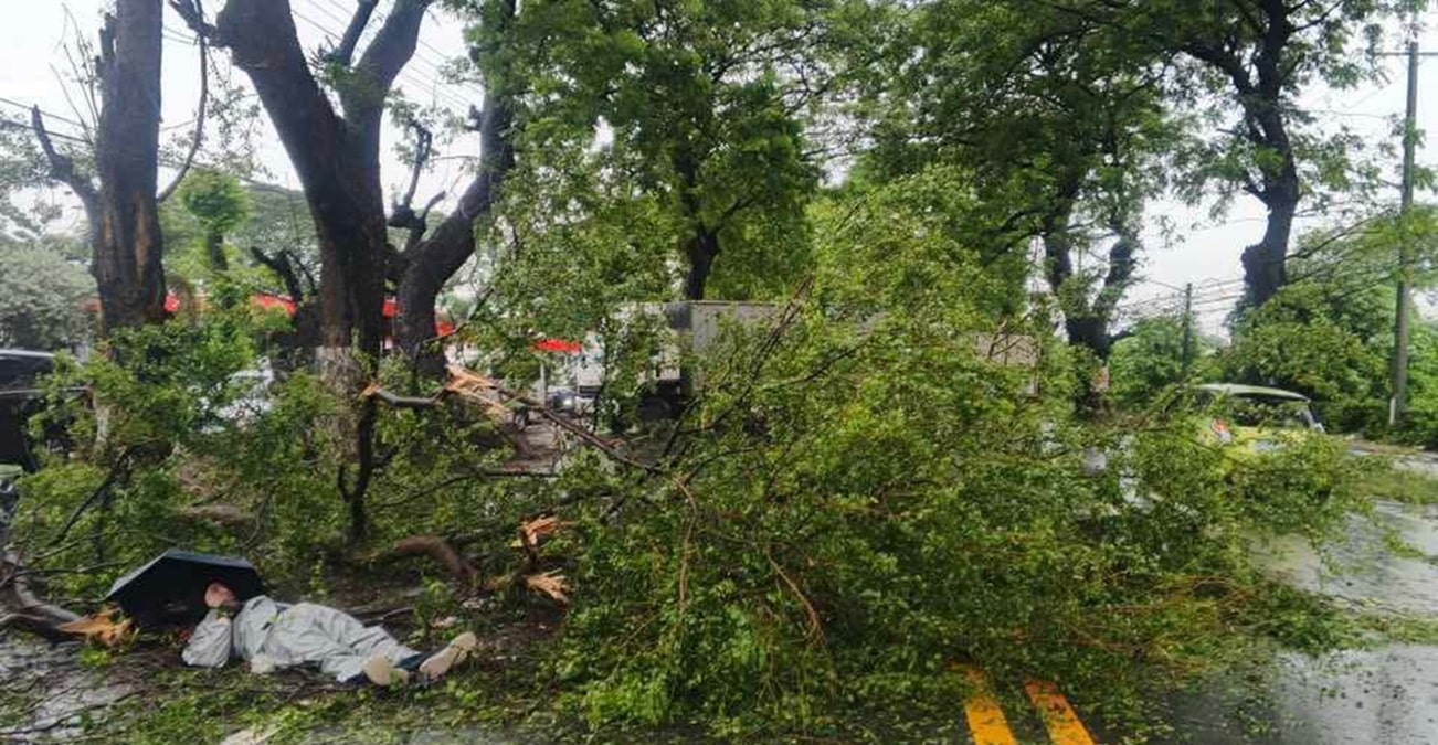 Motorcycle rider injured by falling tree branch in Pampanga