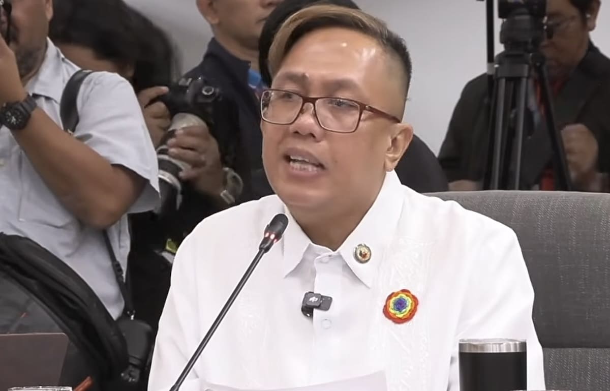 WATCH: Cendaña comments on case vs justice committee members