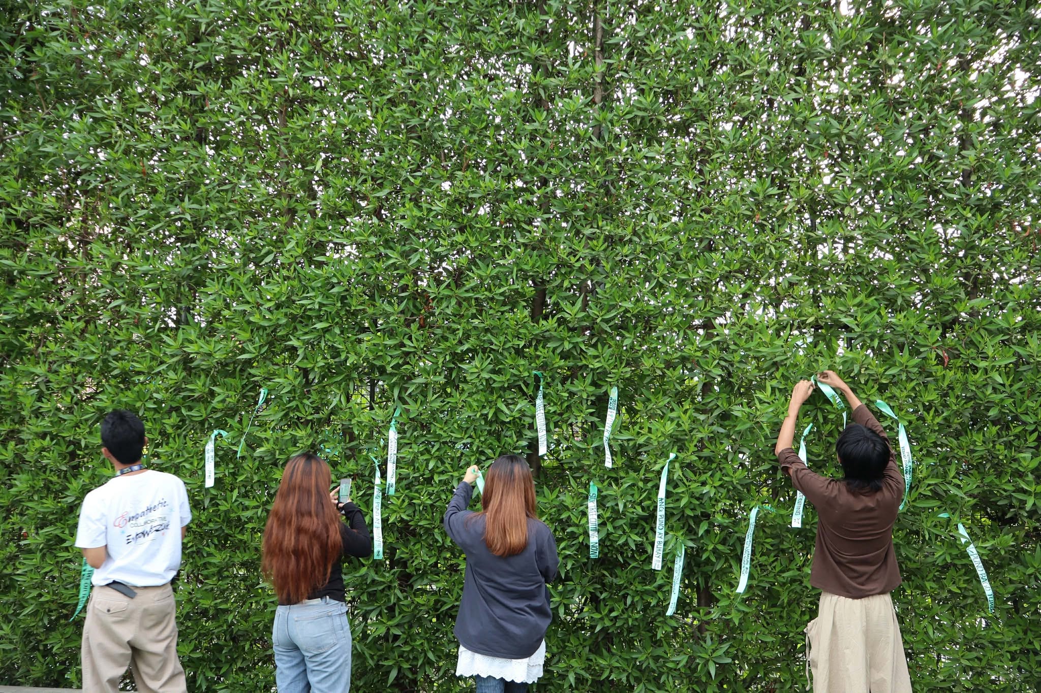 Green ribbon drive fights tree cutting in Pangasinan