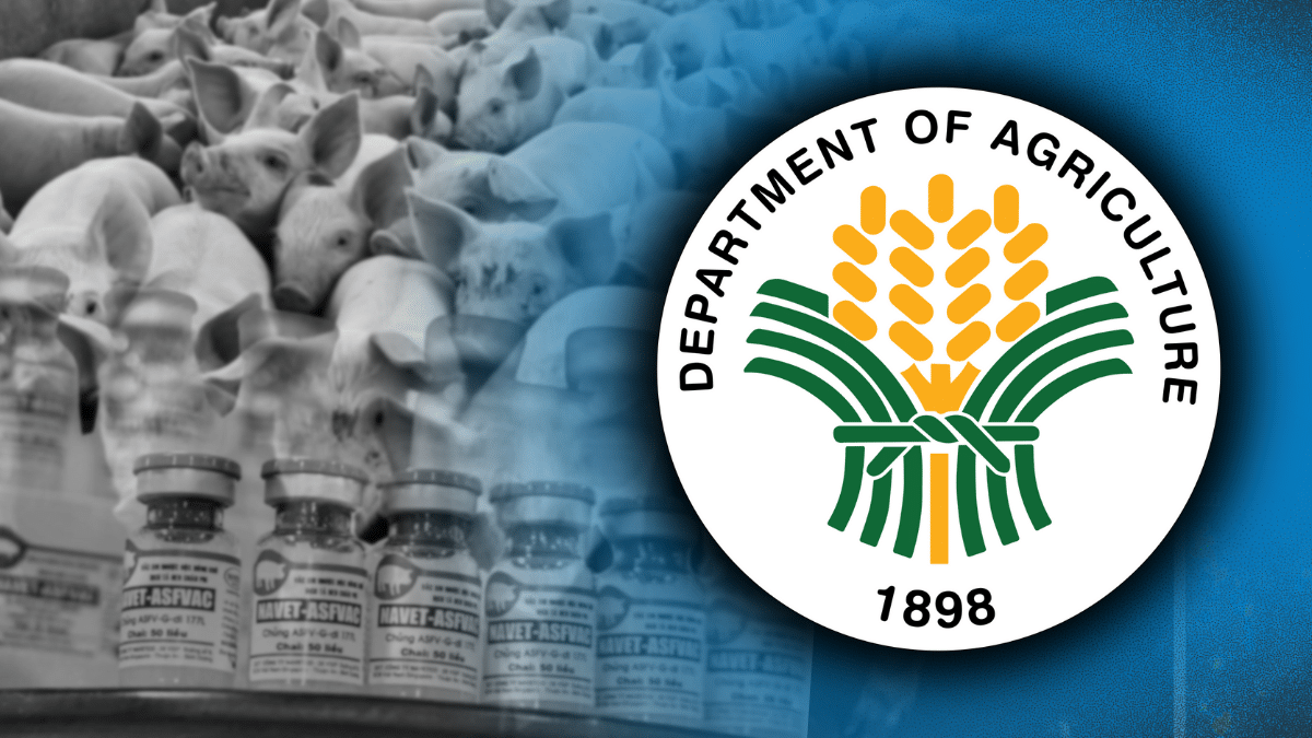 DA launches two data platforms for livestock sector