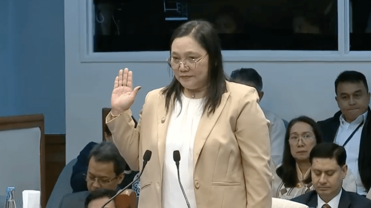 WATCH: 1,287 OVP confidential funds payees have no civil records