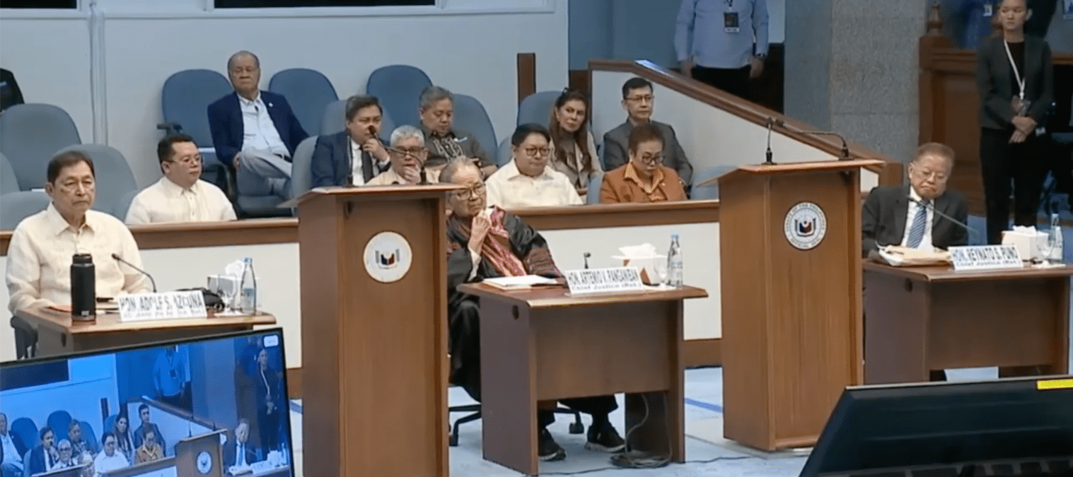 WATCH: 4 amici curiae presented as court reviews voting threshold