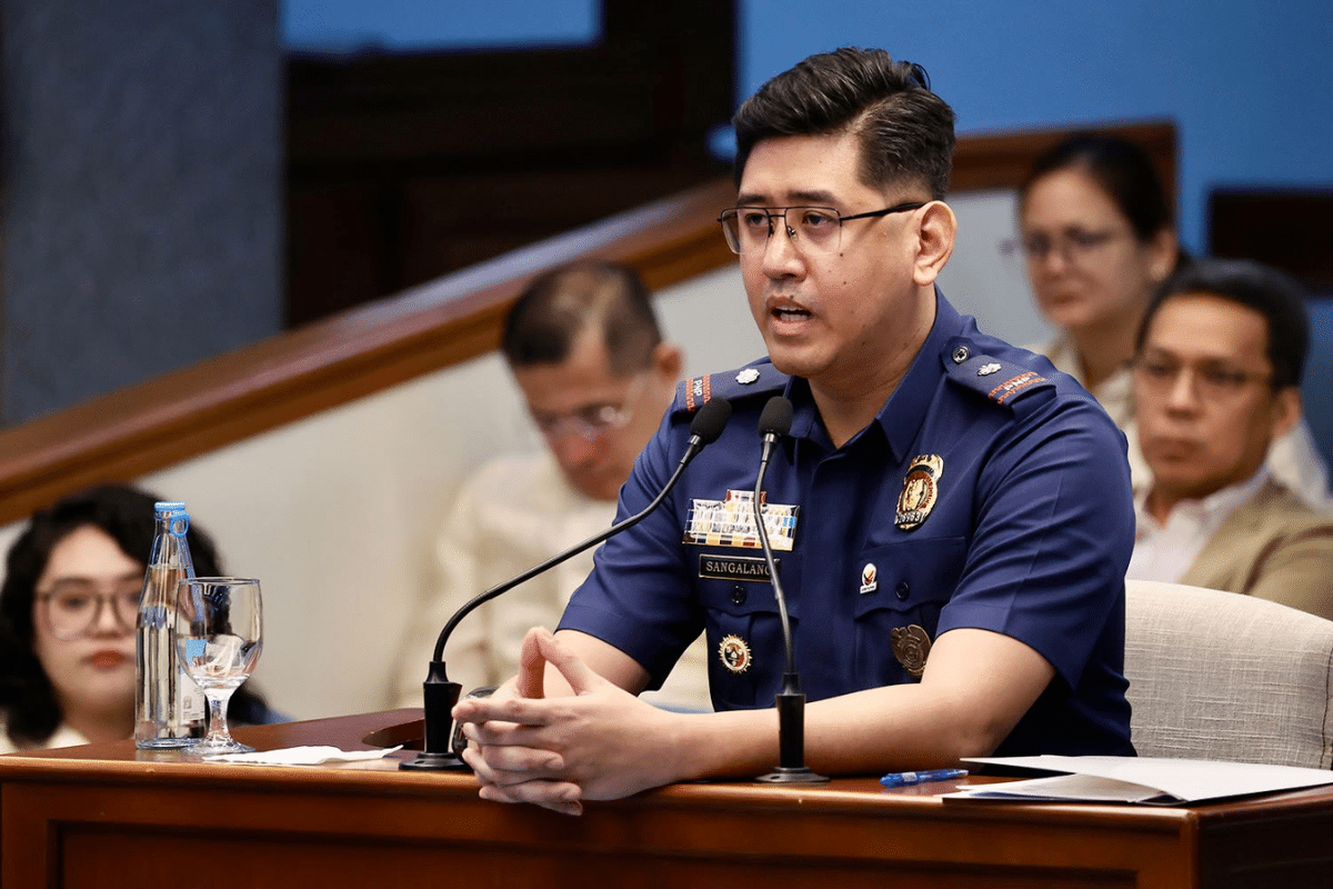 Defense skips cross examination of PNP official over VP’s firearms