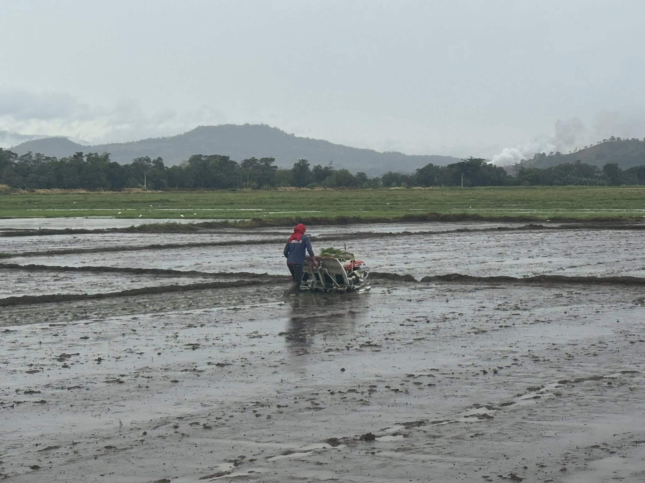 Bukidnon farmers prepare for dry spell