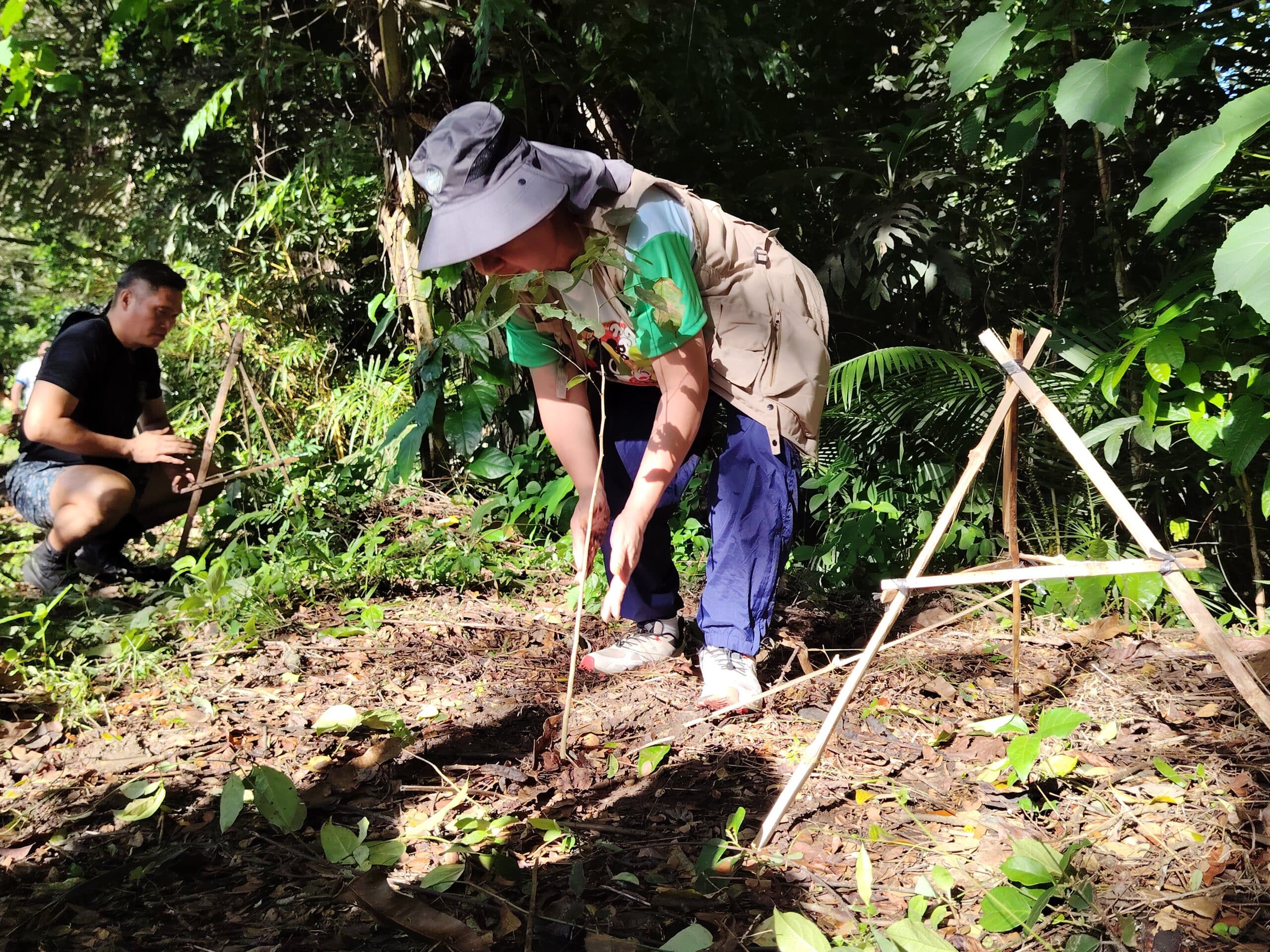 81,000 seedlings planted in Zamboanga Peninsula for Arbor Day