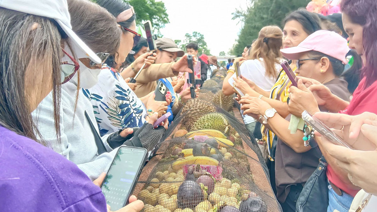 Free eat-all-you-can fruits at Kidapawan’s Timpupo Festival
