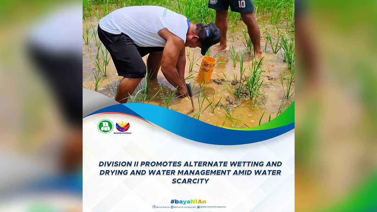 Isabela’s 2025 economic growth shows slowing down compared to year before