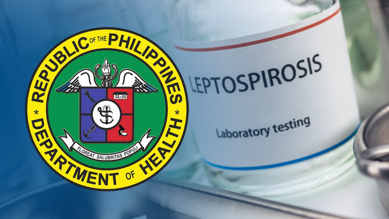 DOH strengthens hospital referrals as leptospirosis cases rise
