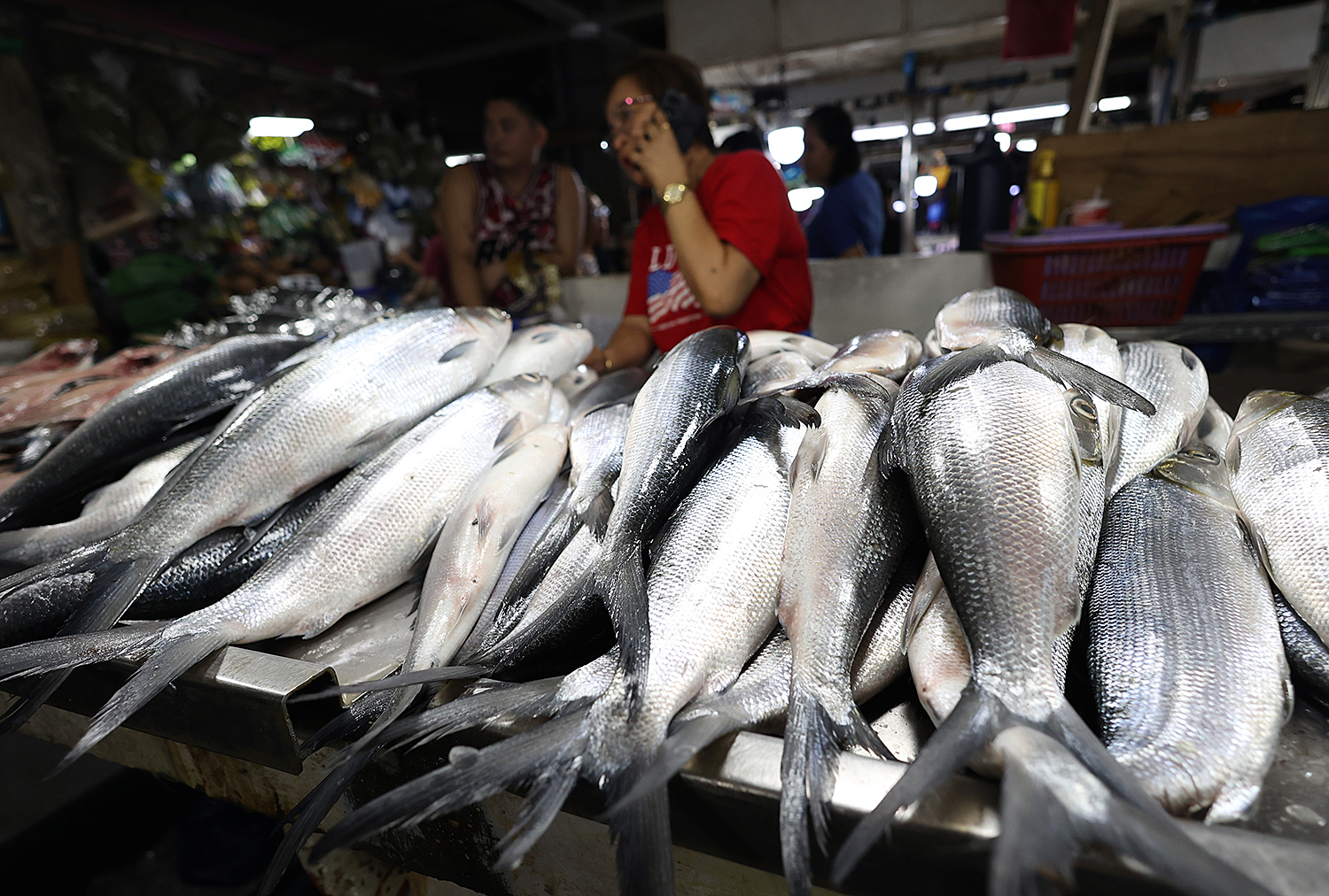 Marcos orders sustained drive to modernize, upgrade fish ports