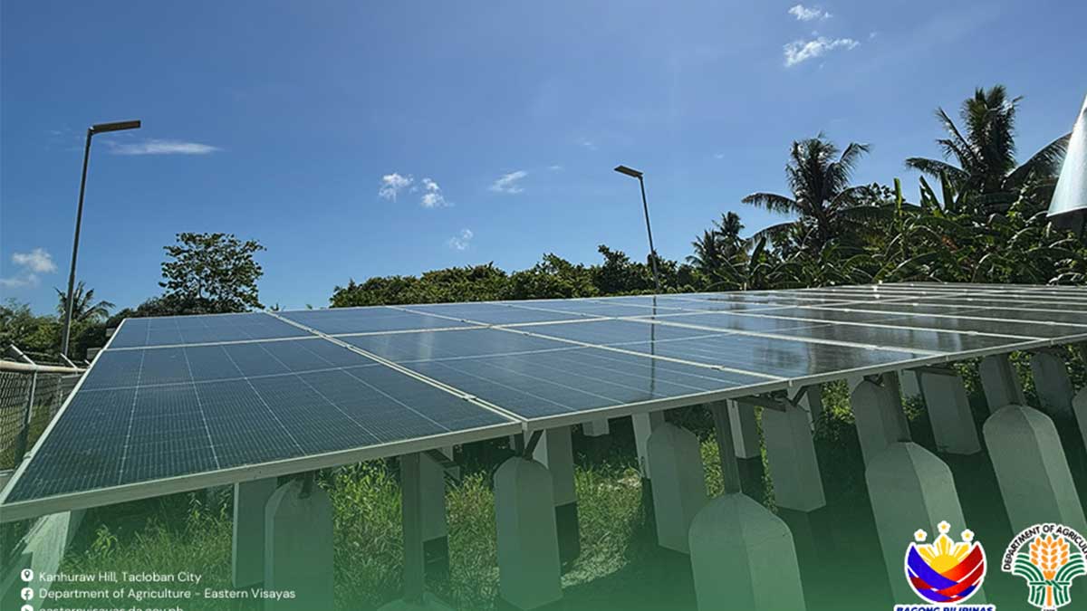 Solar-powered irrigation brings relief to Leyte farmers amid challenges