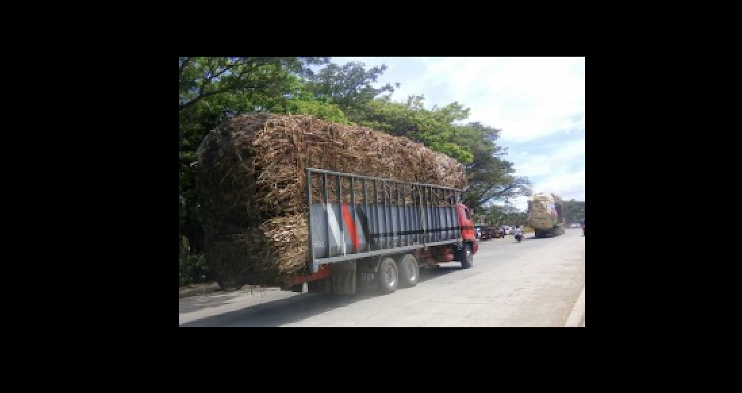 Sugar mills urged to increase trucking allowance for farmers