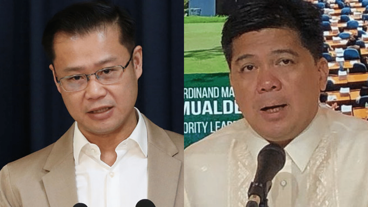 Gatchalian mulls legal action vs Defensor for blue ribbon announcement