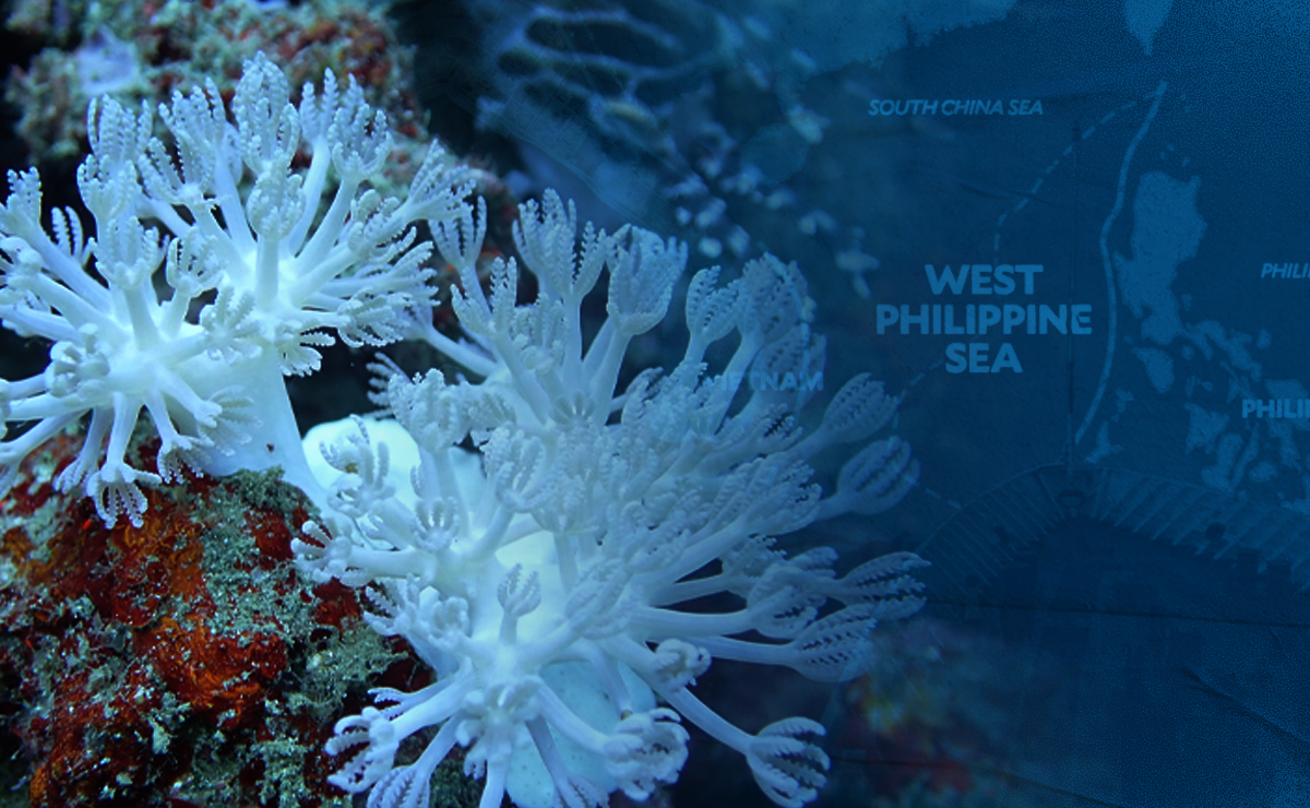 DENR pushes declaration of Marine Protected Areas in WPS
