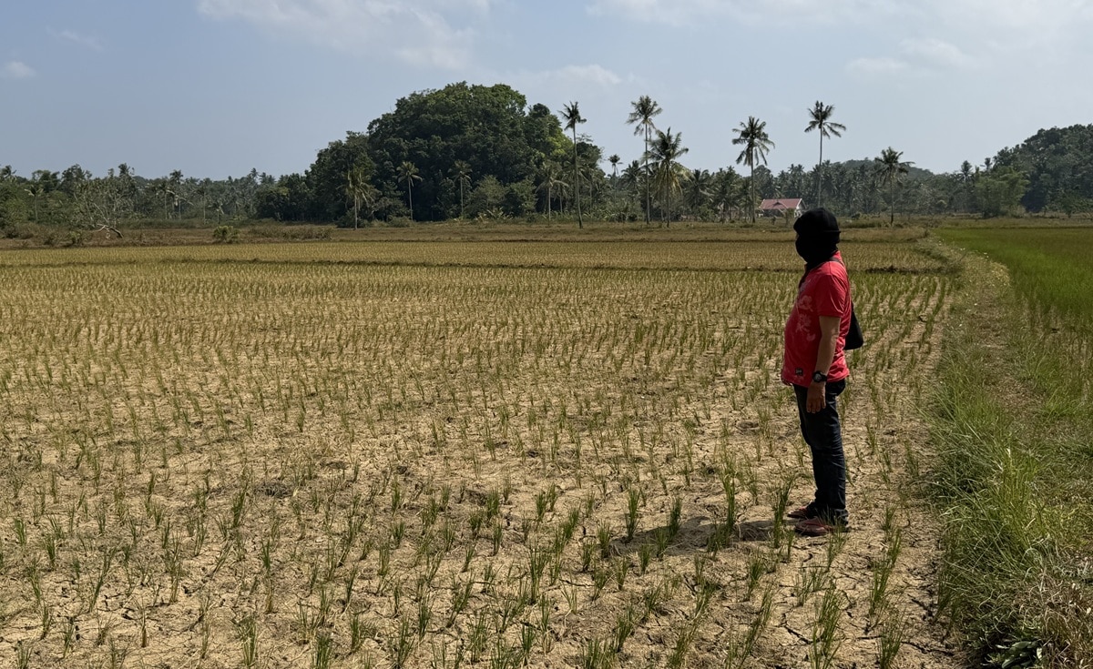 In Bohol, cloud seeding begins to save farms