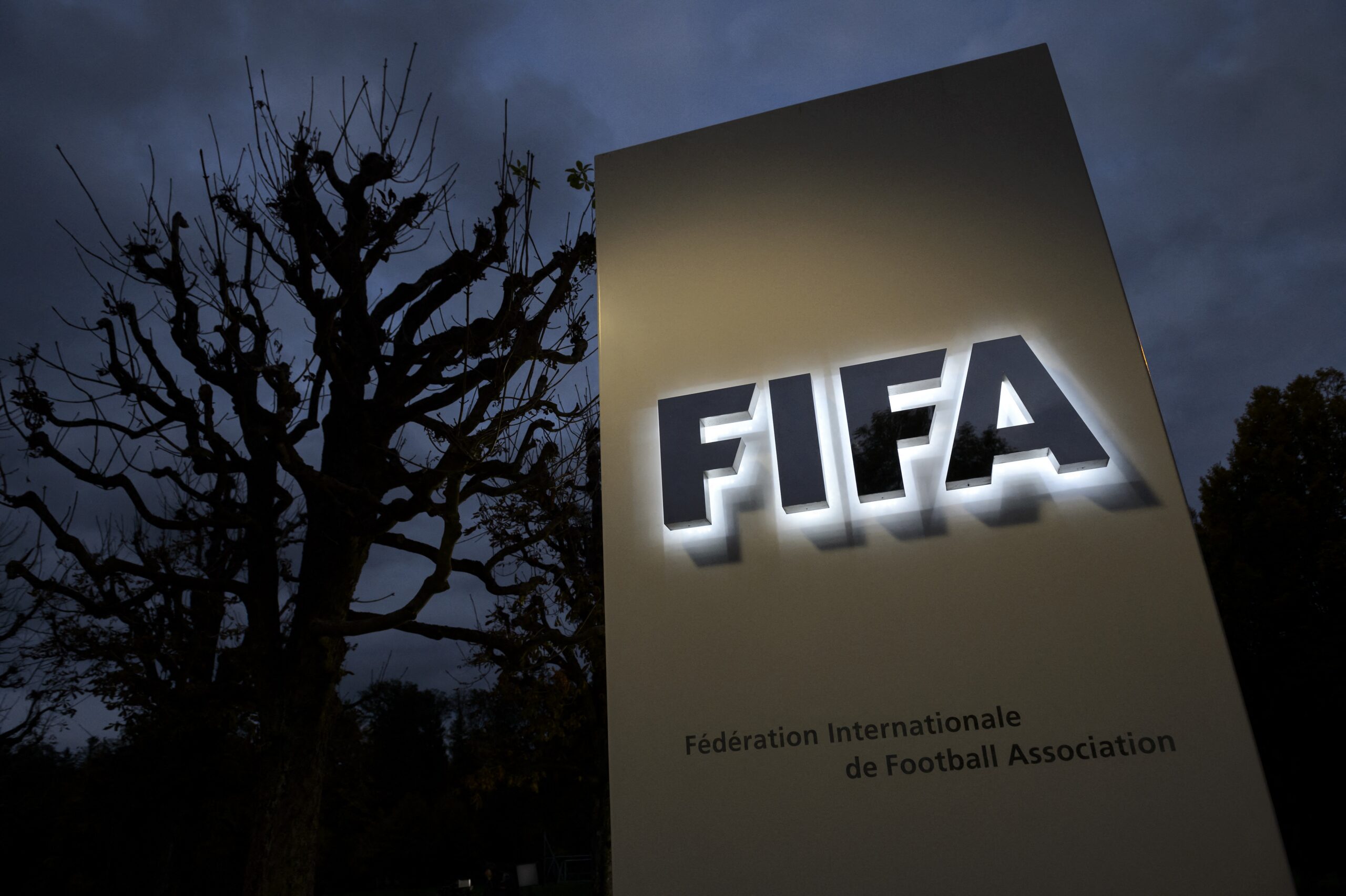 World football's governing body FIFA vowed on Friday to press ahead with an "open and democratic" consultation on a proposed private investment plan despite widespread opposition to the proposal.