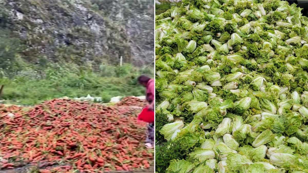No buyers, low prices force Benguet farmers to discard veggies