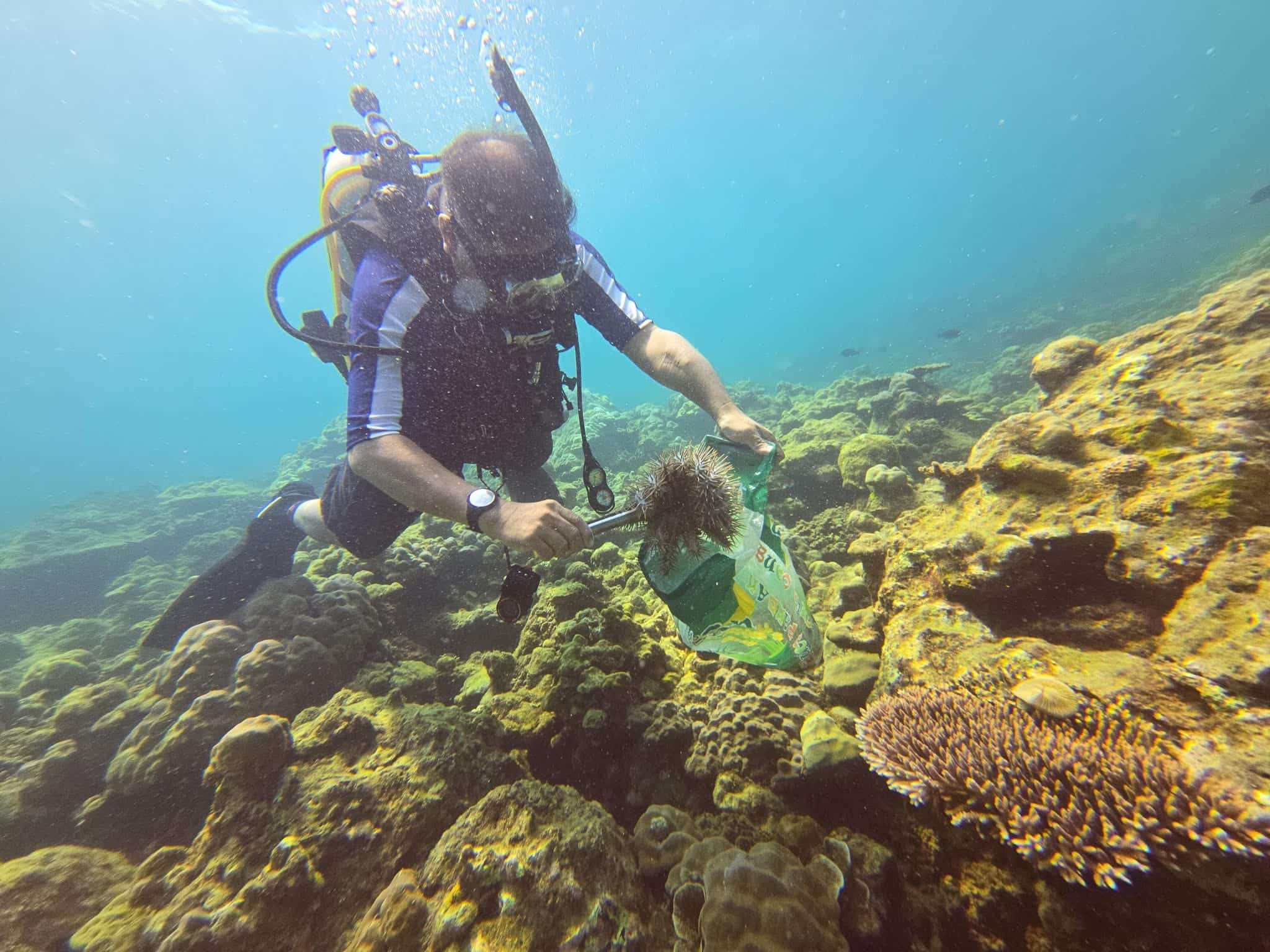 ‘Month of the Ocean’ dive boosts reef protection in Zambales town