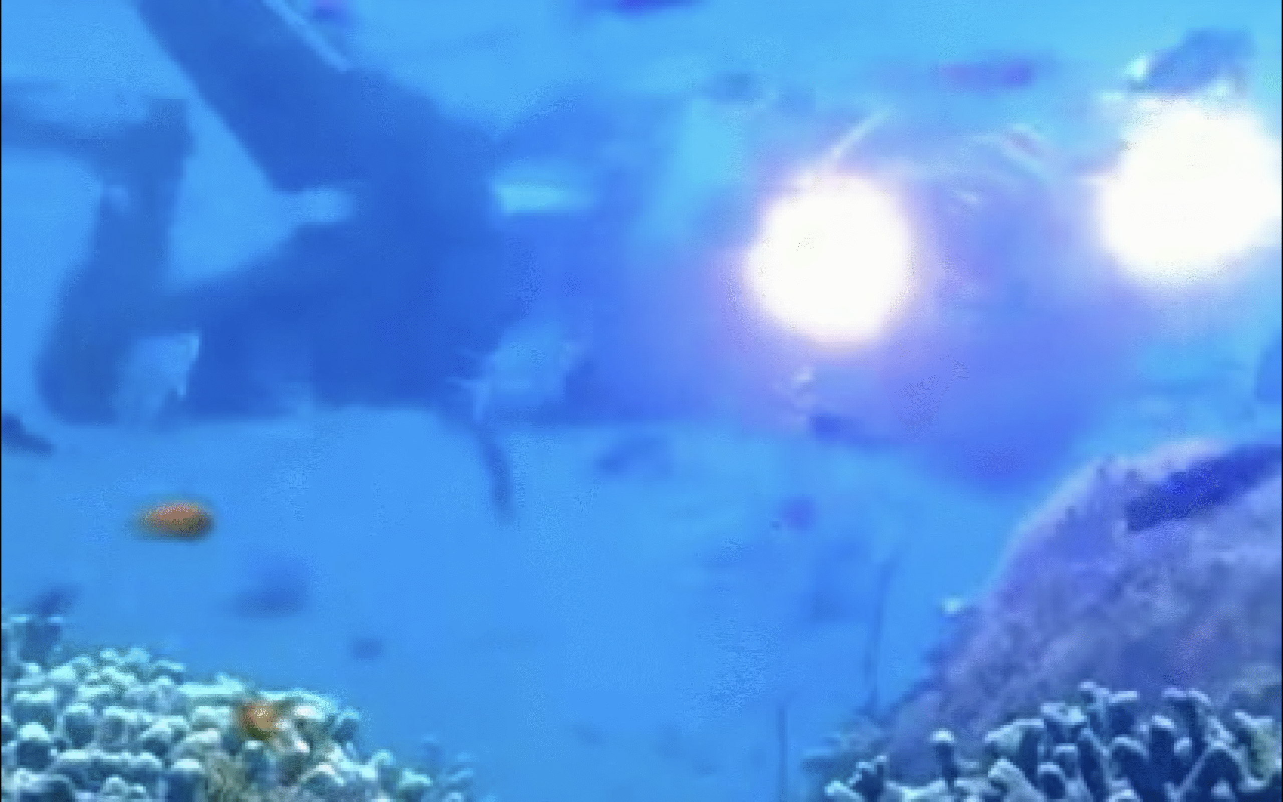 Lanao Norte town develops key diving tourism site