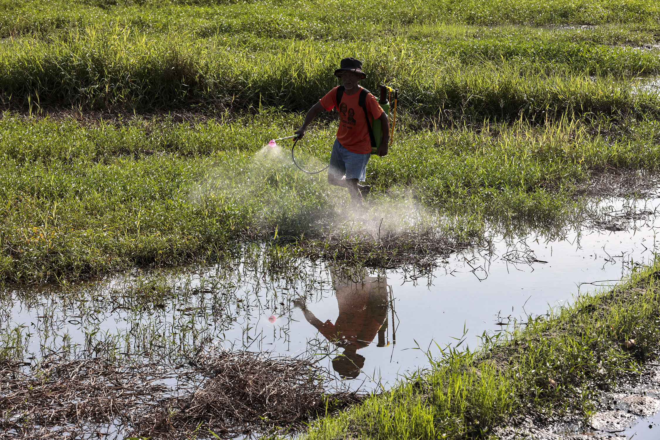 El Niño ideas: Cut water use for baths, brushing teeth