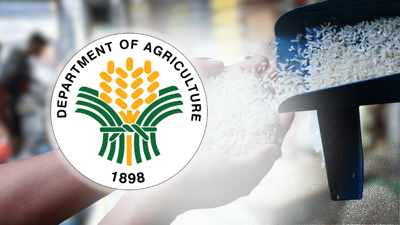DA flags 36 retailers for violating price cap for imported rice