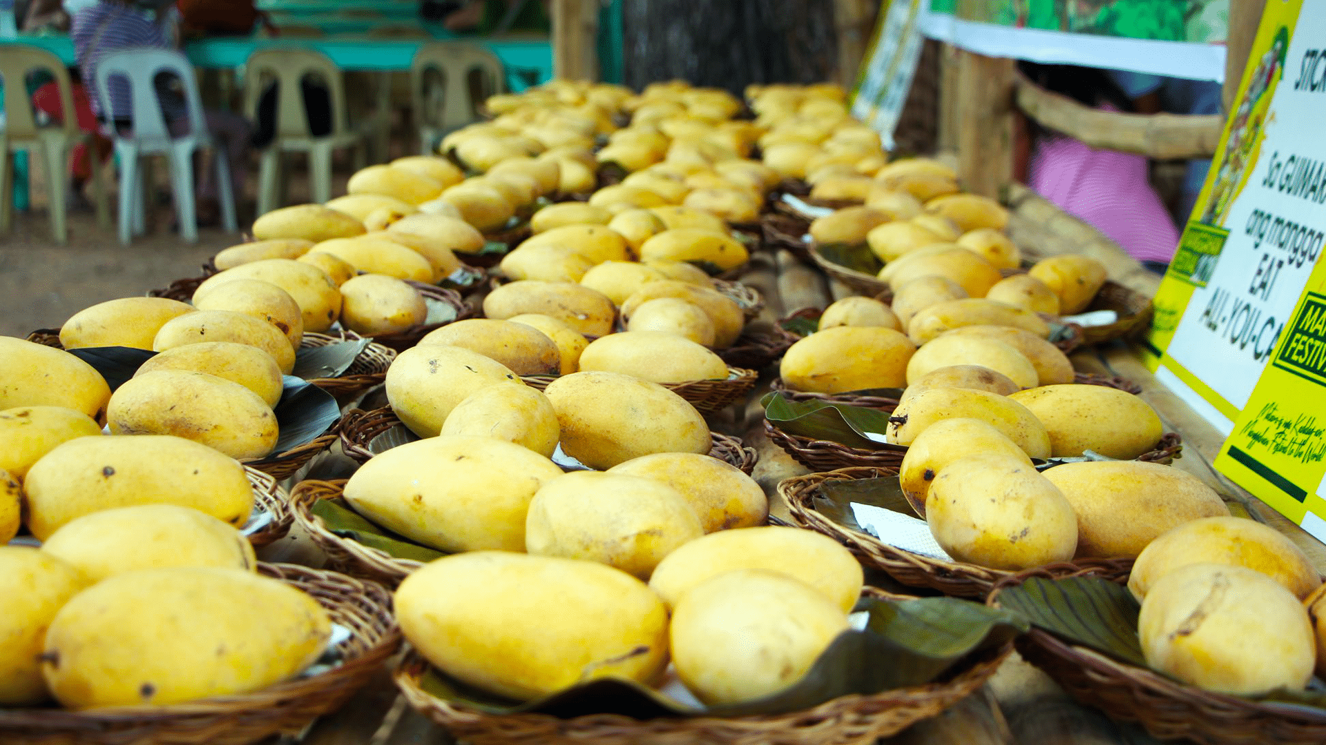 Guimaras-grown mangoes exported to Europe, HK 