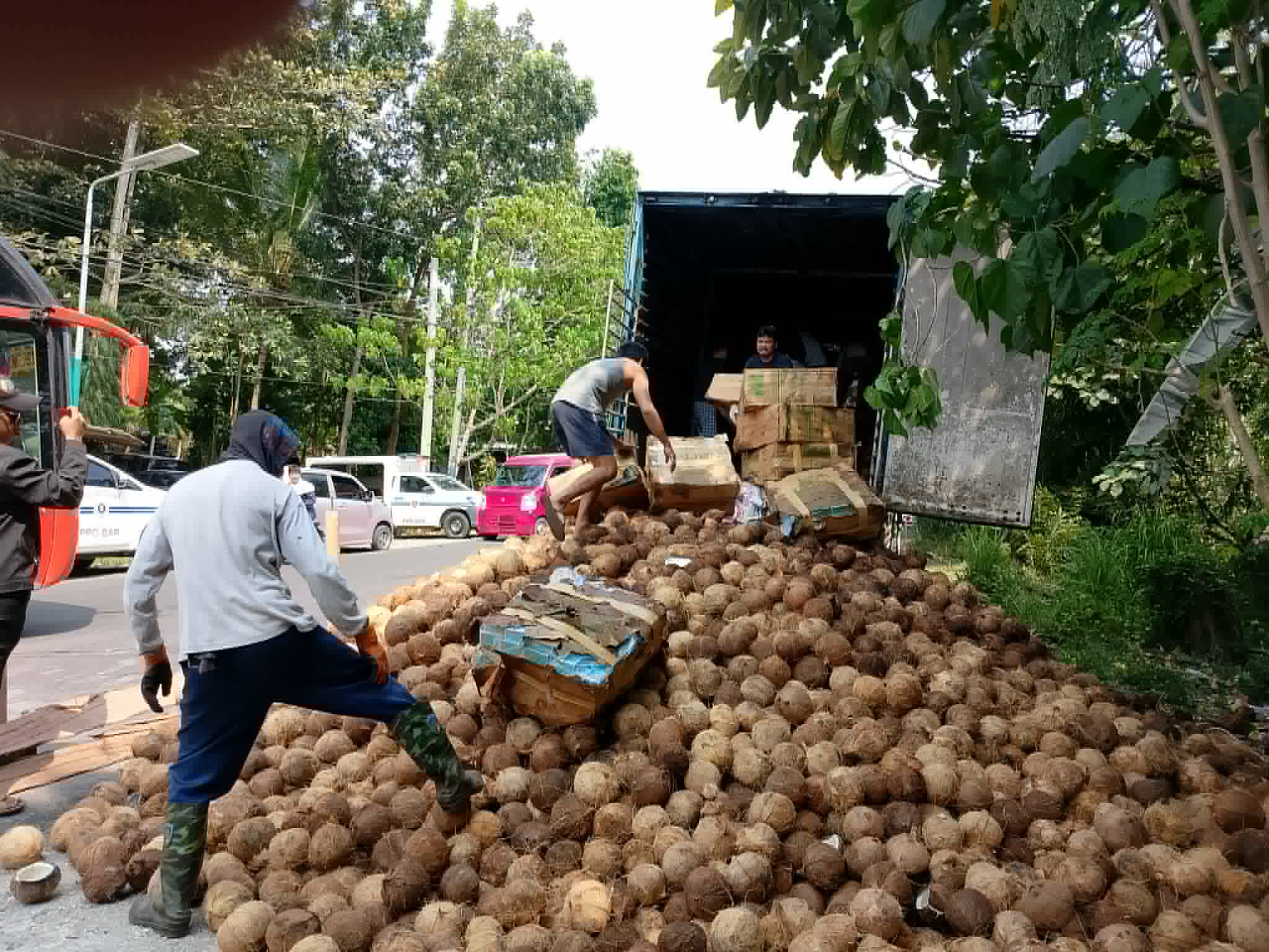 P14-M smuggled cigarettes hidden under coconuts busted in Maguindanao