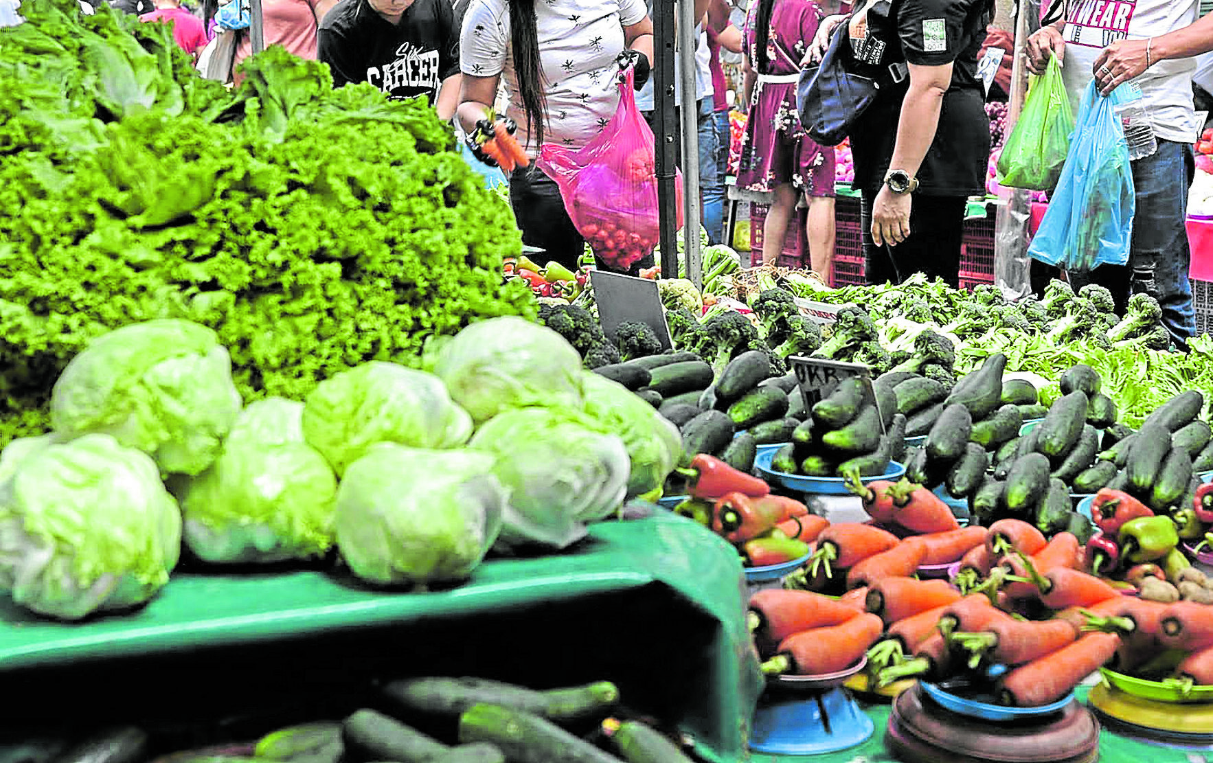 House seeks to avoid vegetable spoilage via rescue-buy initiatives
