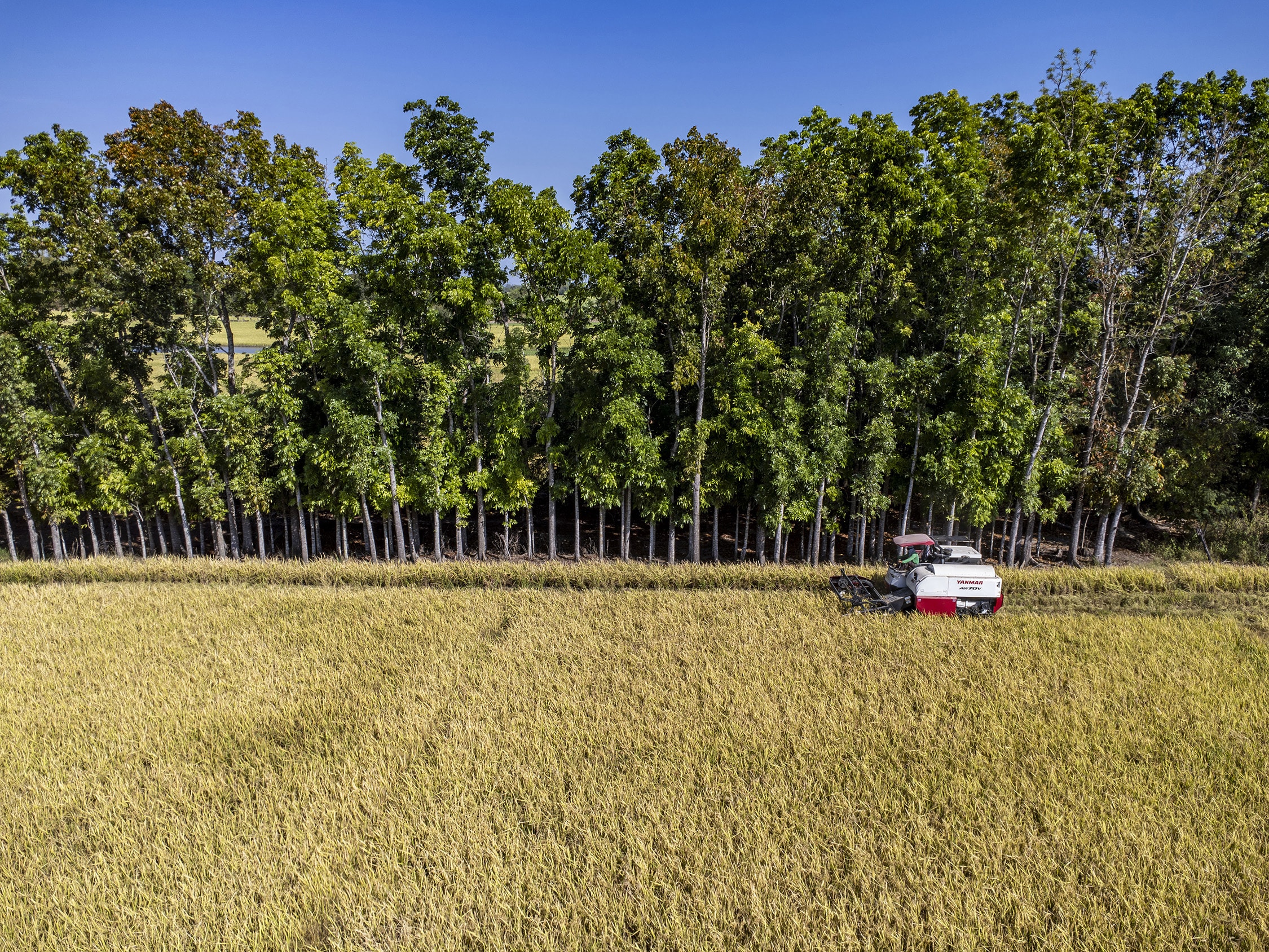 Philippine farm output recovers in Q2