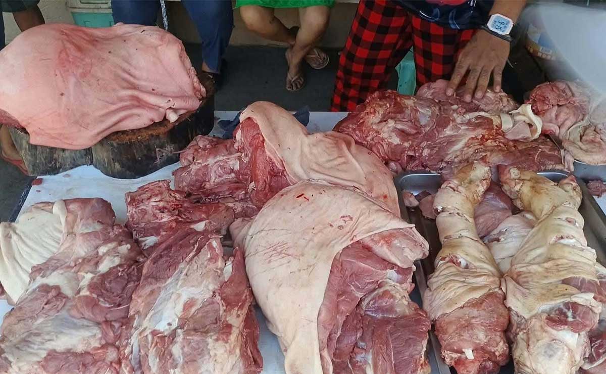 Luzon LGUs tighten hog movement rules due to ASF
