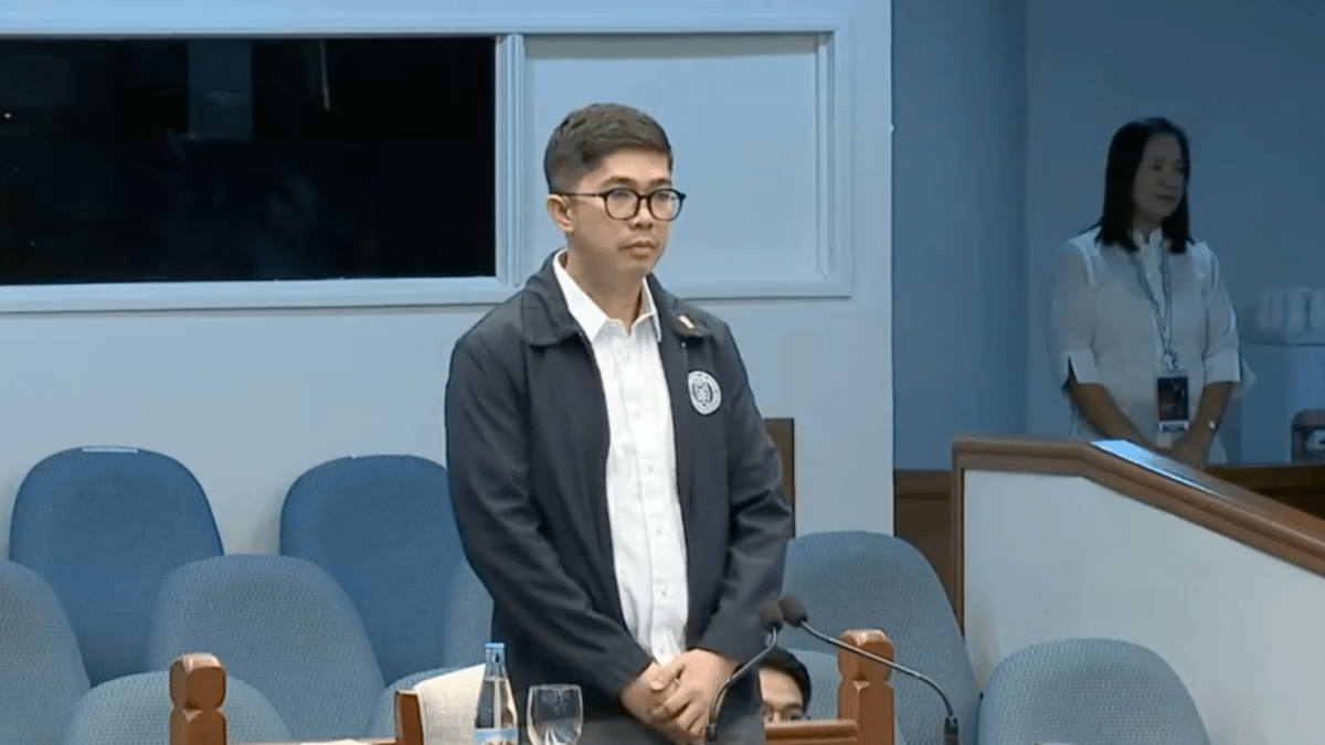 WATCH: Prosecutor Kapunan presents ex-COA auditor