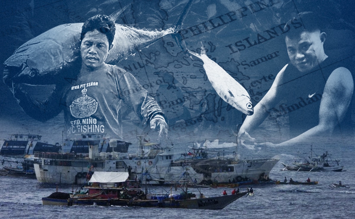 Commercial fishing intrusions in municipal waters hit 5-year high