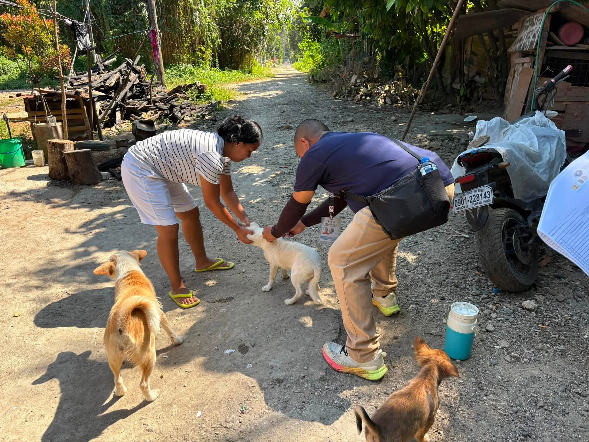 Kidapawan now requires microchips for pets to fight rabies