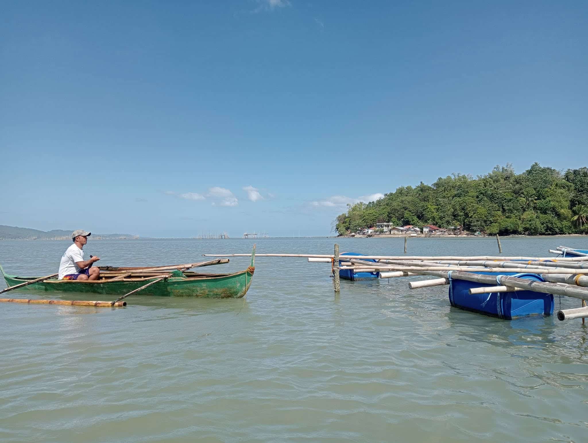 BFAR issues red tide warning for shellfish in Leyte town