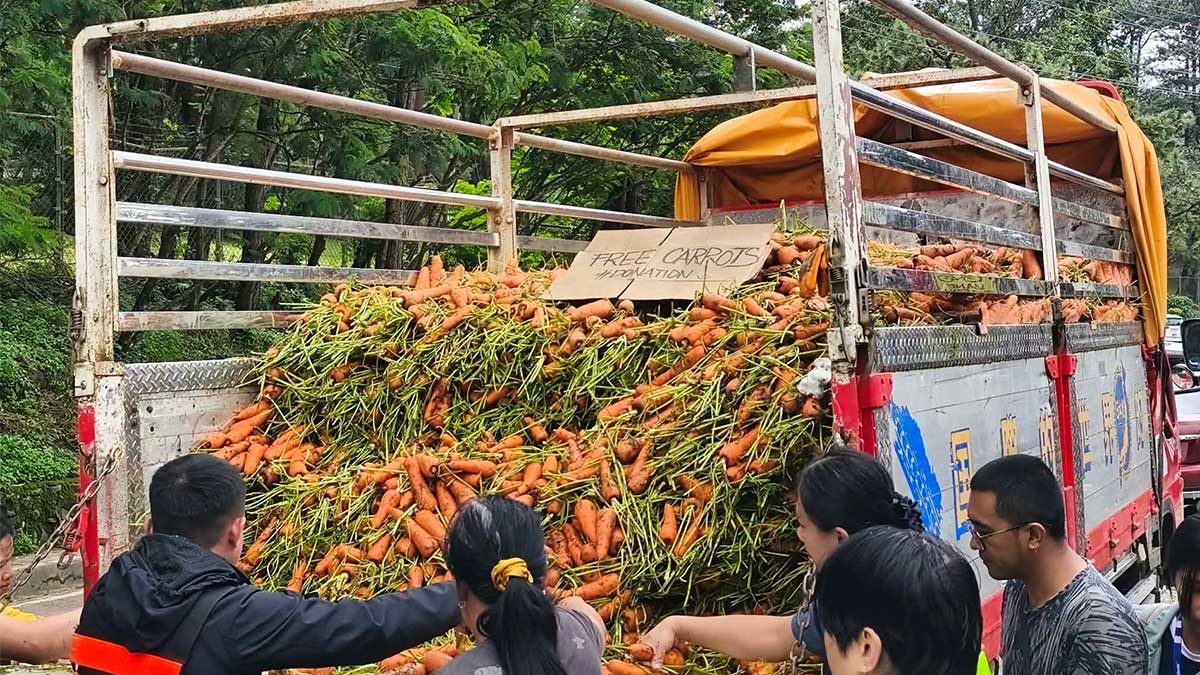 DA moves to curb veggie supply losses