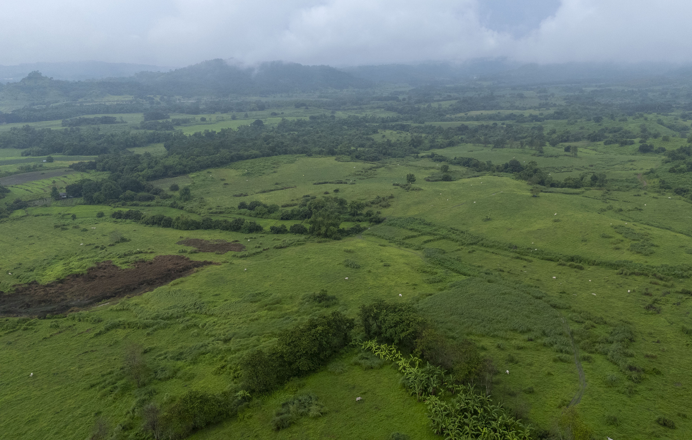 Pax Silica site development eyed in 3 to 5 years