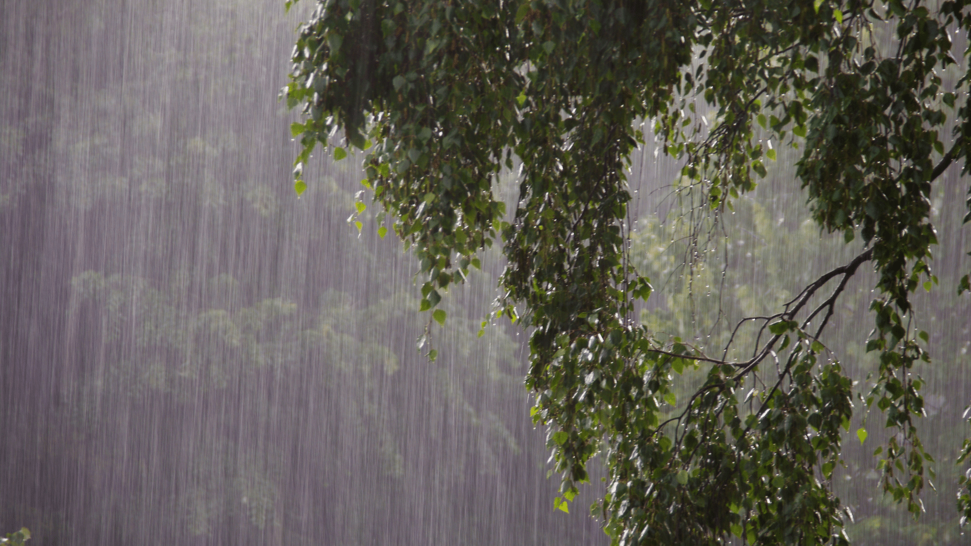 Pagasa declares start of rainy season in western parts of Luzon, Visayas