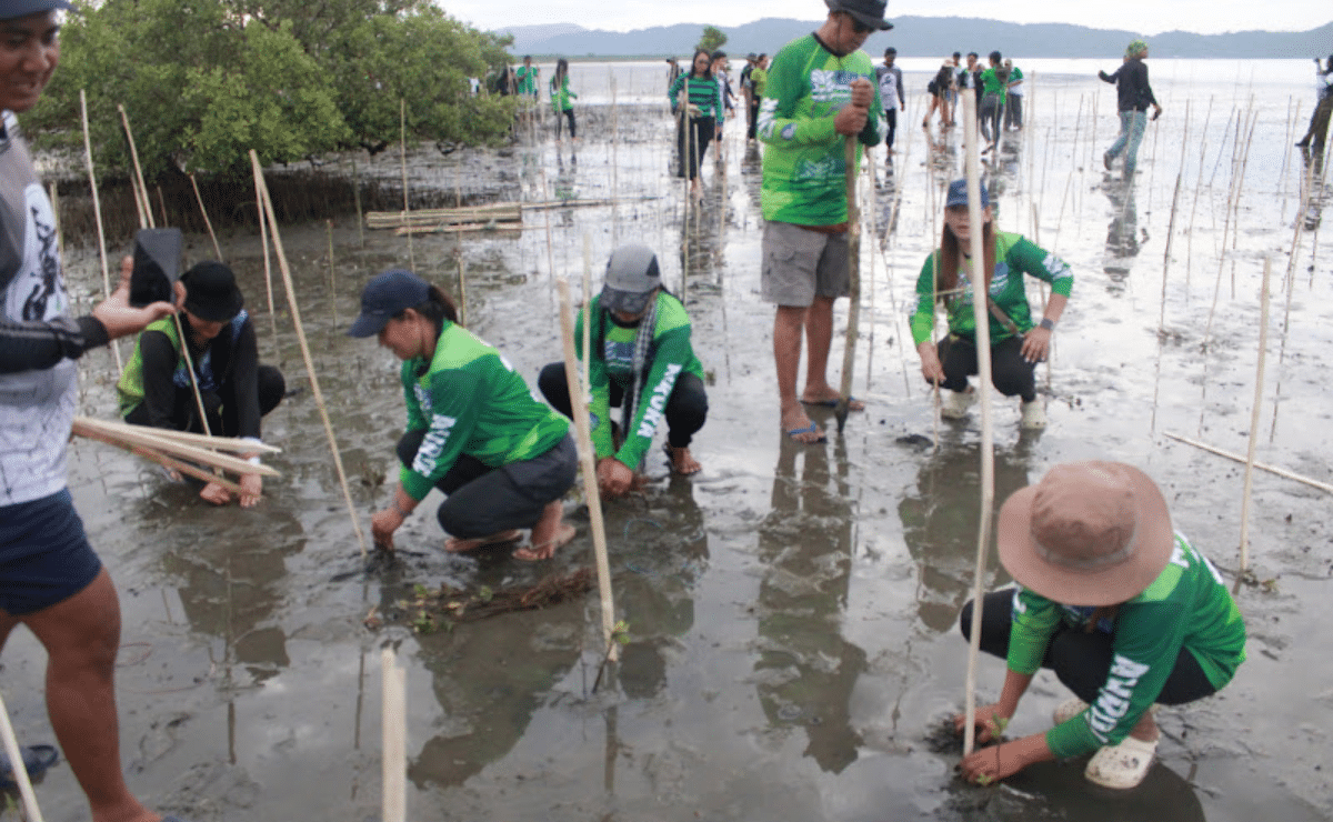 DENR ramps up forest protection, reforestation amid El Niño risk