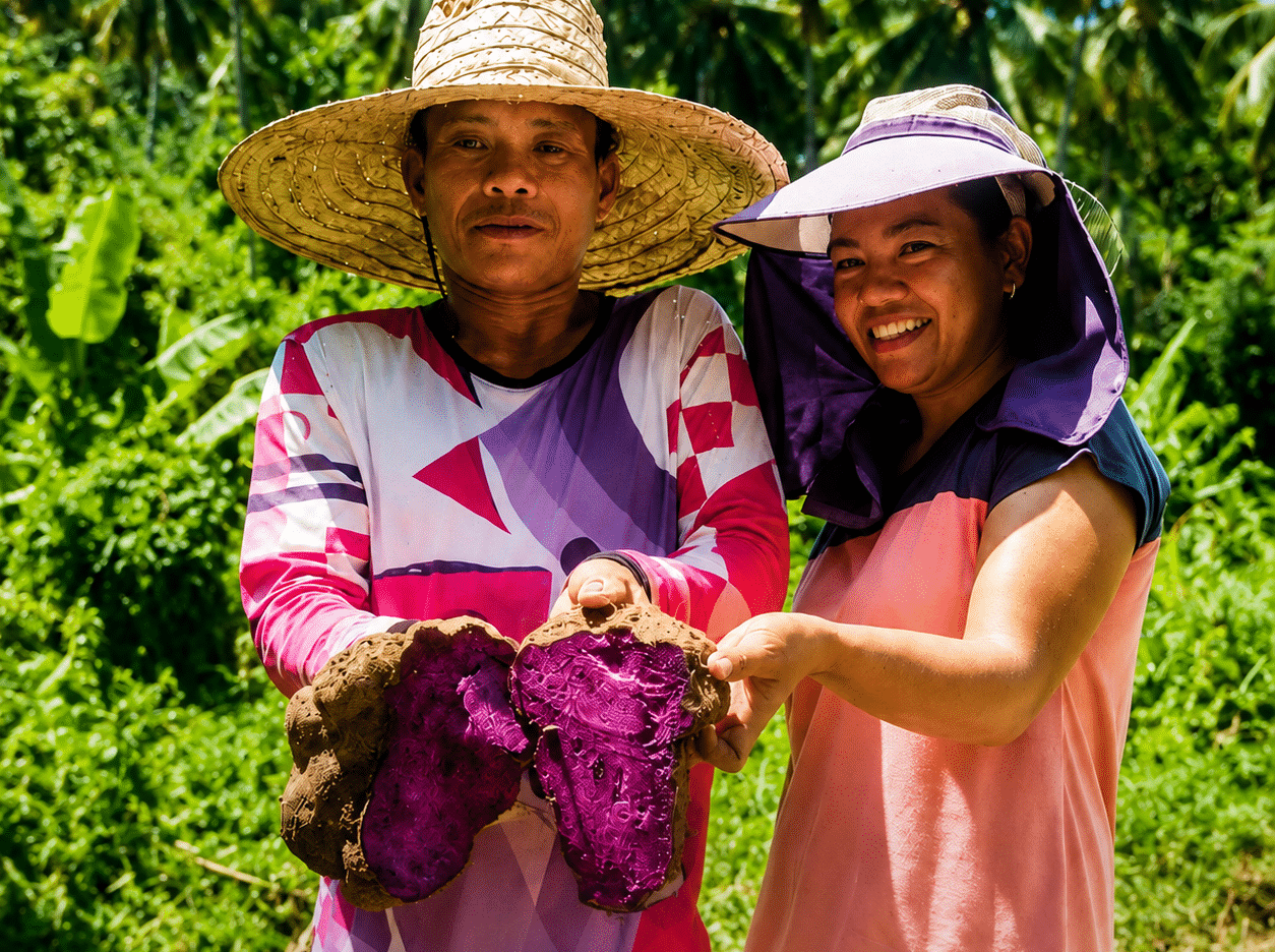 Leyte’s Richard Gomez pushes bill making purple yam priority crop