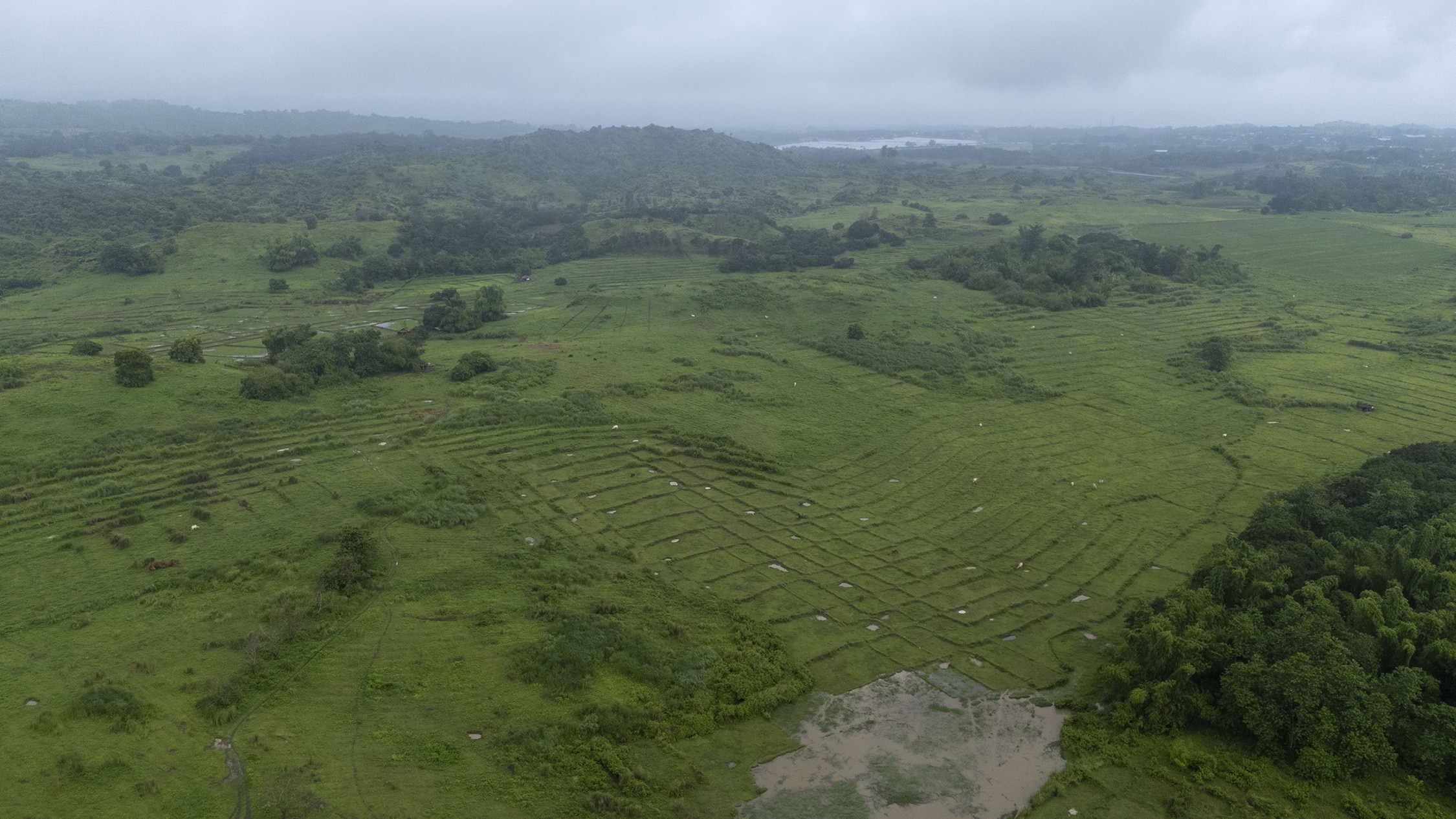 Agri workers’ group warn Pax Silica could worsen land, labor issues