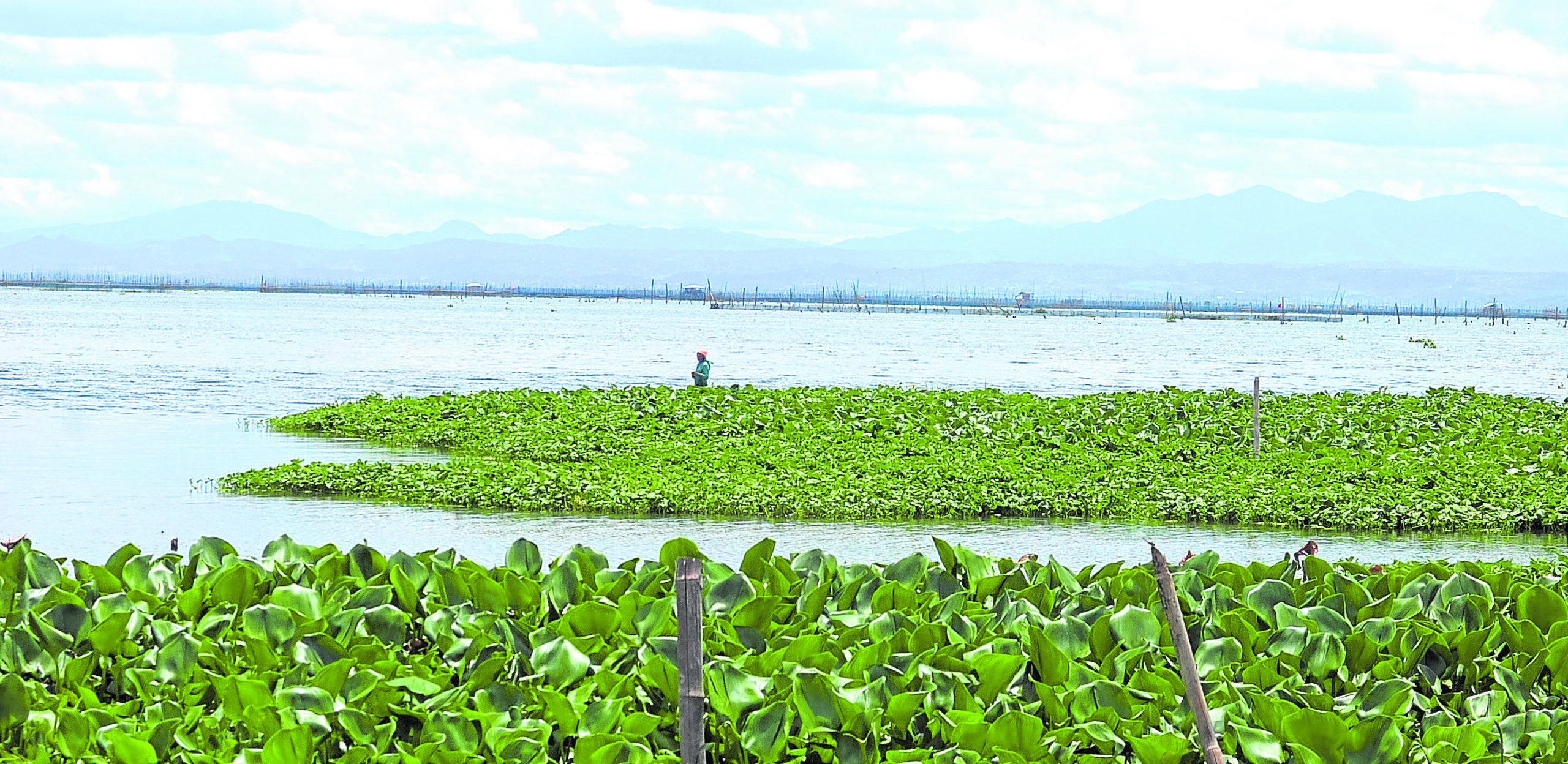 Laguna de Bay rises to 12.08 meters amid persistent habagat rains