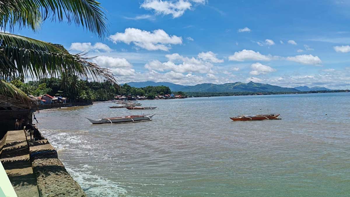 BFAR lifts shellfish ban in Biliran Island but not in Samar, Leyte